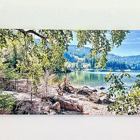 Appartamento Kaiser By Interhome Schluchsee