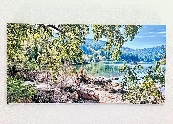 Appartement Kaiser By Interhome Schluchsee